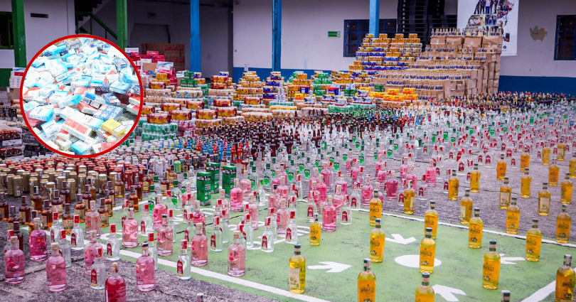 Gobernación del Tolima destruye más de 33 mil unid