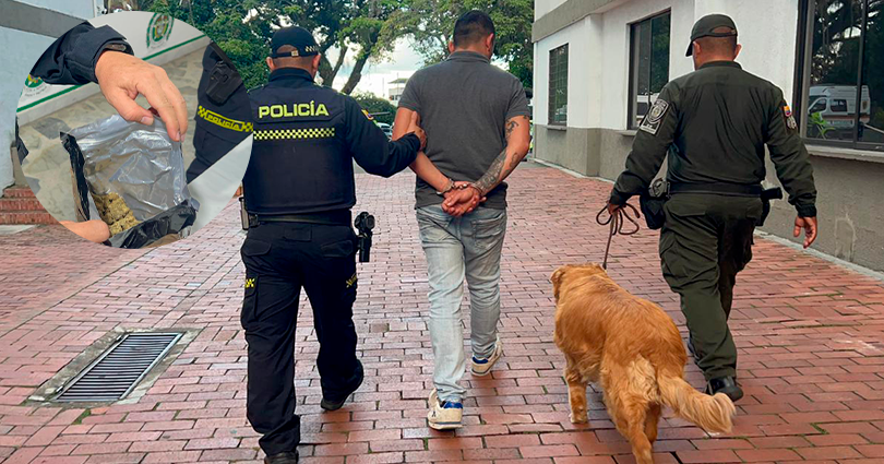 Llevaba 8 kilos de marihuana para La Dorada pero f