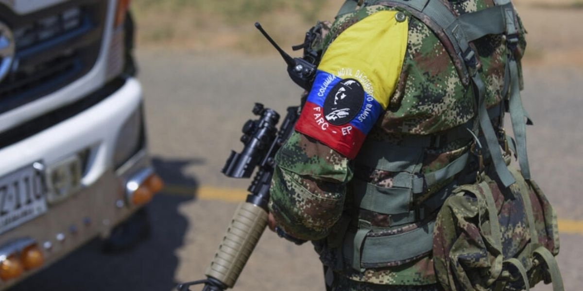 Tolima activa vigilancia por denuncias de carnetiz